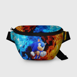 Поясная сумка 3D Sonic