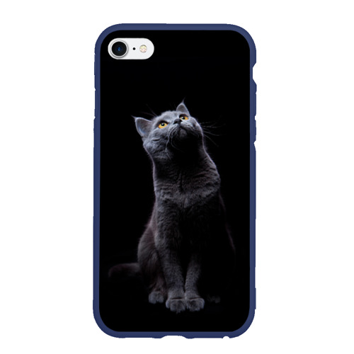 Чехол для iPhone 6/6S матовый Кот Британец, цвет темно-синий