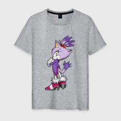 Мужская футболка хлопок Sonic Кошка Блейз