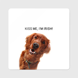 Магнит виниловый Квадрат Ирландский сеттер