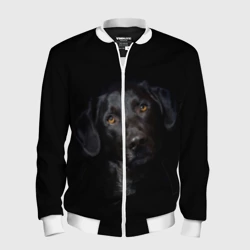 Мужской бомбер 3D Пес