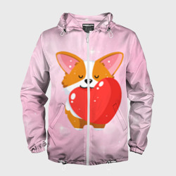 Мужская ветровка 3D Милый корги