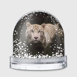 Игрушка Снежный шар Белый тигр