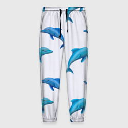 Мужские брюки 3D Рай для дельфина