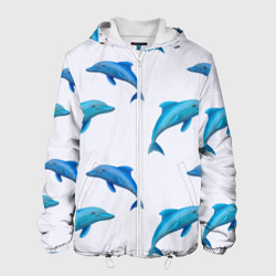 Мужская куртка 3D Рай для дельфина