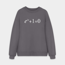 Мужской свитшот oversize без начеса хлопок e^?i + 1 = 0, Тождество Эйлера