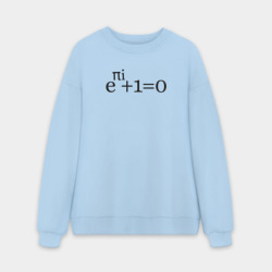 Мужской свитшот oversize без начеса хлопок Тождество Эйлера