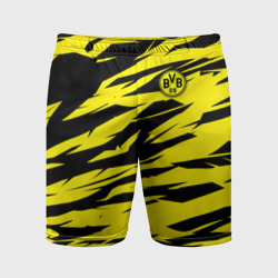 Мужские шорты спортивные FC Borussia