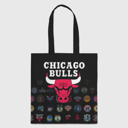 Шоппер 3D Chicago Bulls 1