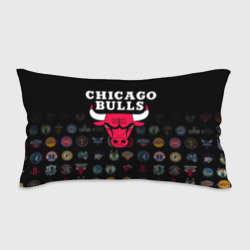 Подушка 3D антистресс Chicago Bulls 1