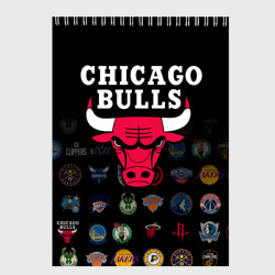 Скетчбук Chicago Bulls 1