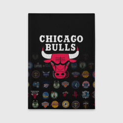 Обложка для автодокументов Chicago Bulls 1