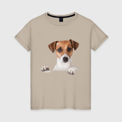 Женская футболка хлопок Собака