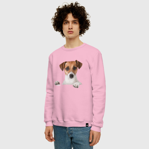 Мужской свитшот хлопок Собака, цвет светло-розовый - фото 3