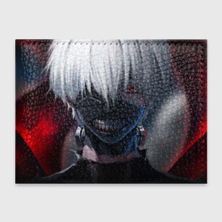 Обложка для студенческого билета Tokyo ghoul Токийский гуль