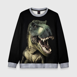 Детский свитшот 3D Динозавр T-Rex