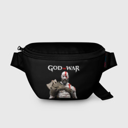 Поясная сумка 3D God of War