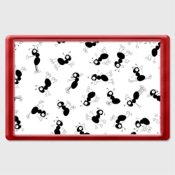 Магнит 45*70 Муравьи