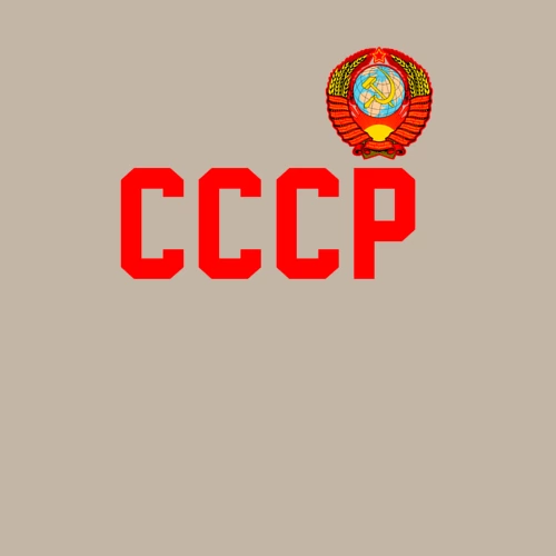 Мужской свитшот хлопок с принтом СССР, фото на моделе #1