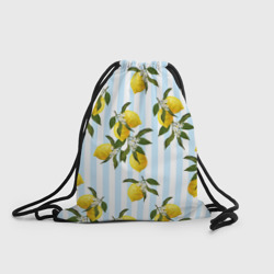 Рюкзак-мешок 3D Лимоны