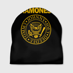 Шапка 3D Ramones