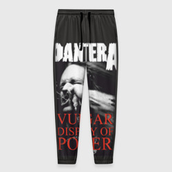 Мужские брюки 3D Pantera vulgar of power