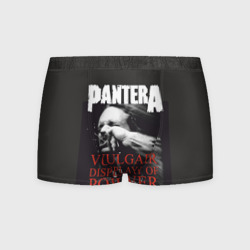 Мужские трусы 3D Pantera vulgar of power