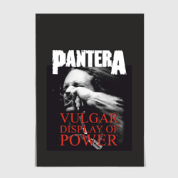 Постер Pantera vulgar of power