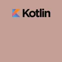 Мужской свитшот хлопок Kotlin - фото 2