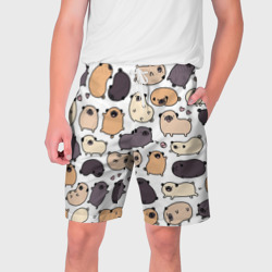 Мужские шорты 3D Милые мопсы