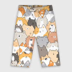 Велосипедки 3D Кошачья стая