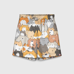 Детские спортивные шорты 3D Кошачья стая