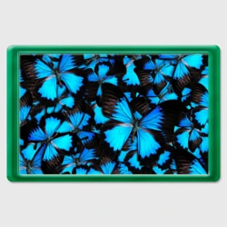 Магнит 45*70 Рой бабочек