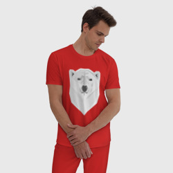 Мужская пижама хлопок Полярный Медведь - фото 2