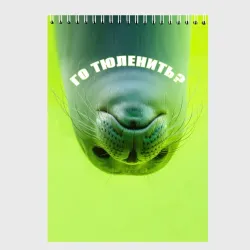 Скетчбук Го тюленить?