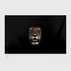 Флаг 3D Взгляд львицы