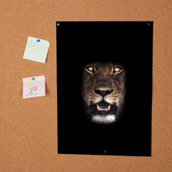 Постер Взгляд львицы - фото 2