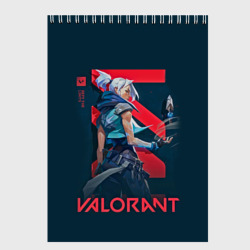 Скетчбук Valorant