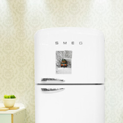 Магнитный плакат 2Х3 Российский поезд зимой - фото 2