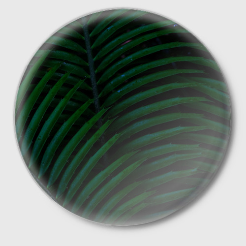 Значок Пальмовые листья 