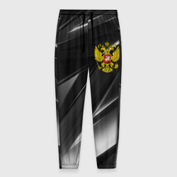 Мужские брюки 3D Россия