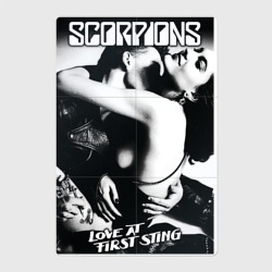 Магнитный плакат 2Х3 Scorpions