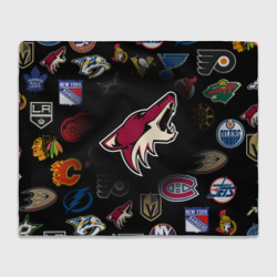 Плед 3D Arizona Coyotes NHL