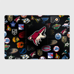 Магнитный плакат 3Х2 Arizona Coyotes NHL