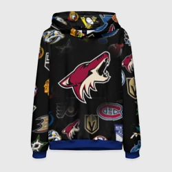 Мужская толстовка 3D Arizona Coyotes NHL