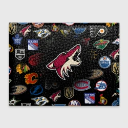 Обложка для студенческого билета Arizona Coyotes NHL