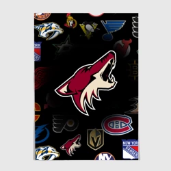 Постер Arizona Coyotes NHL
