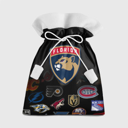 Подарочный 3D мешок NHL Florida Panthers