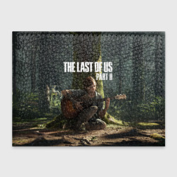 Обложка для студенческого билета The Last of Us part 2