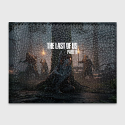 Обложка для студенческого билета The Last of Us part 2